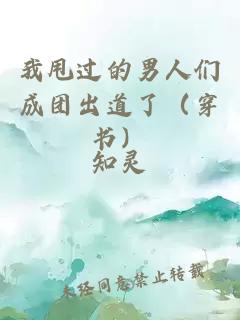 我甩过的男人们成团出道了（穿书）