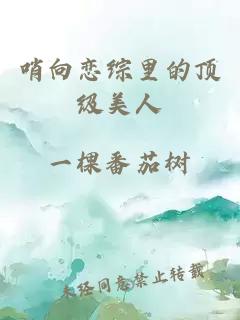 哨向恋综里的顶级美人