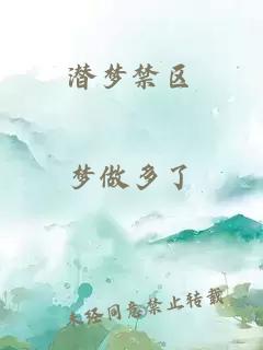 潜梦禁区