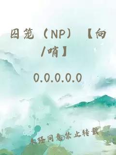 囚笼（NP）【向/哨】