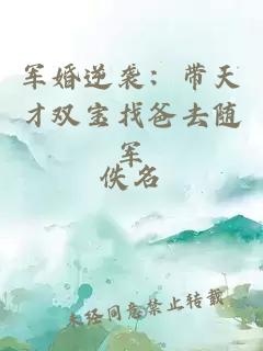 军婚逆袭：带天才双宝找爸去随军