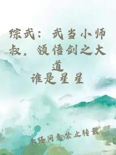 综武：武当小师叔，领悟剑之大道