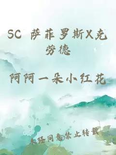 SC 萨菲罗斯X克劳德