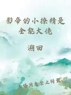 影帝的小撩精是全能大佬