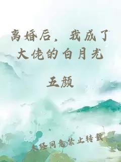 离婚后，我成了大佬的白月光