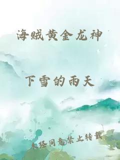 海贼黄金龙神