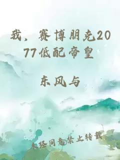 我，赛博朋克2077低配帝皇