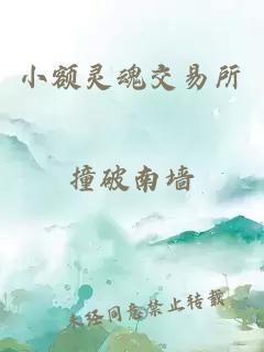 小额灵魂交易所