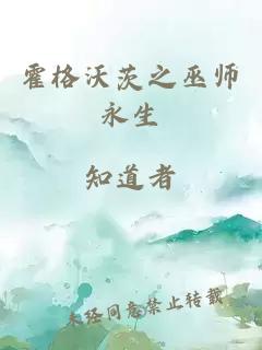 霍格沃茨之巫师永生