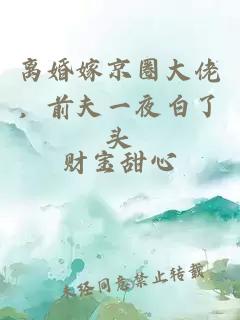 离婚嫁京圈大佬，前夫一夜白了头