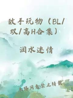 敌手玩物（BL/双/高H合集）