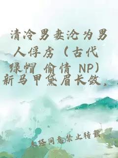 清冷男妻沦为男人俘虏（古代 绿帽 偷情 NP）