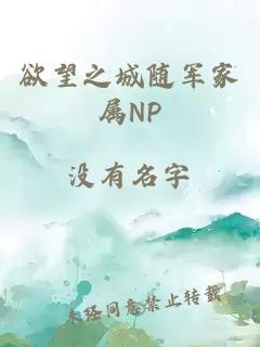 欲望之城随军家属NP