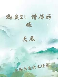 逃妻2：错拐妈咪