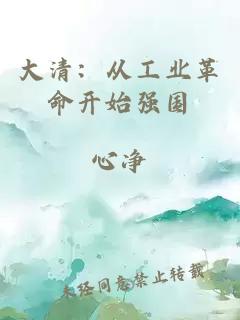 大清：从工业革命开始强国