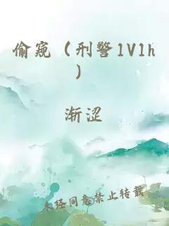 偷窥（刑警1V1h）