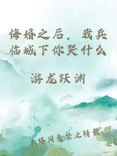 悔婚之后，我兵临城下你哭什么