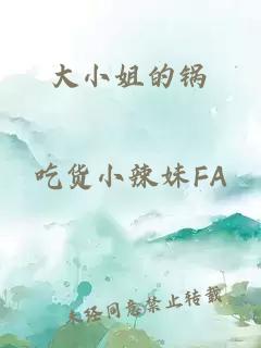 大小姐的锅