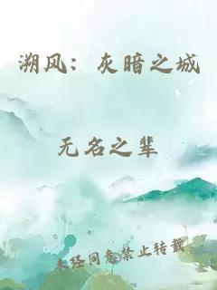 溯风：灰暗之城