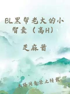 BL黑帮老大的小智囊（高H）