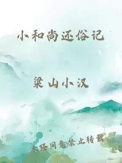 小和尚还俗记