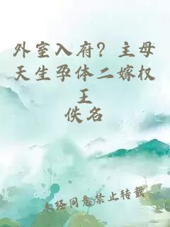 外室入府？主母天生孕体二嫁权王