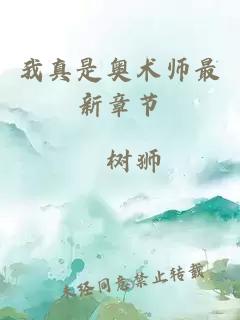 我真是奥术师最新章节