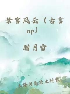 禁宫风云（古言np）