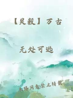 【昊毅】万古