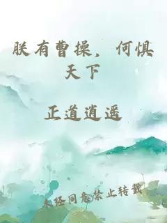 朕有曹操，何惧天下