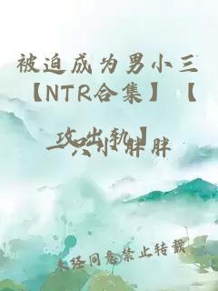 被迫成为男小三【NTR合集】【攻出轨】