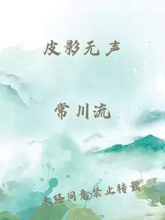 皮影无声