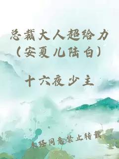 总裁大人超给力（安夏儿陆白）