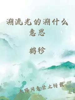 溯流光的溯什么意思